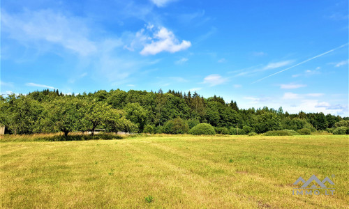 Einzigartiges altes Bauernhaus im Bz. Plungė
