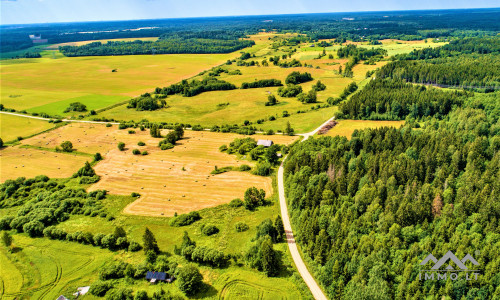 Einzigartiges altes Bauernhaus im Bz. Plungė