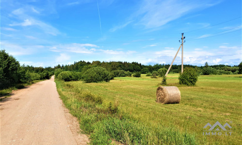 Einzigartiges altes Bauernhaus im Bz. Plungė