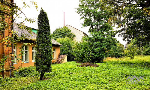 Der Wintergarten des Pliateriai-Herrenhauses in Šateikiai