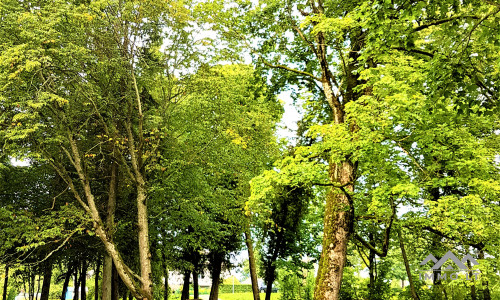 Der Wintergarten des Pliateriai-Herrenhauses in Šateikiai