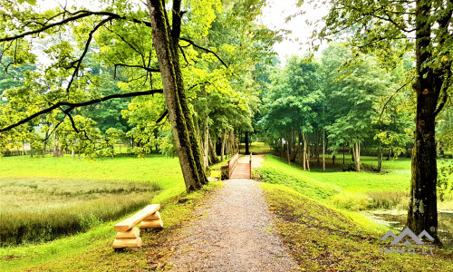 Der Wintergarten des Pliateriai-Herrenhauses in Šateikiai