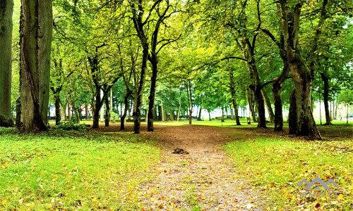Der Wintergarten des Pliateriai-Herrenhauses in Šateikiai