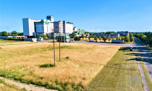 Industriegrundstück in Kretinga