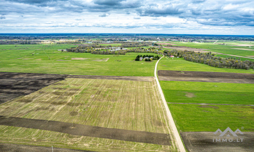 Ackerland bei Mosėdis