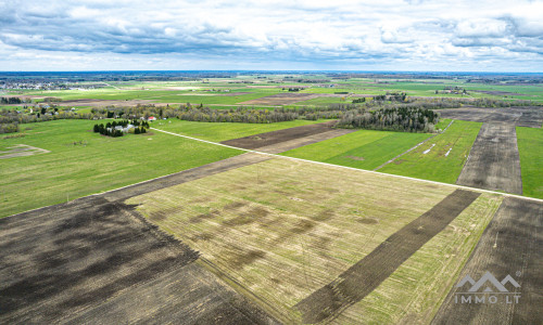 Ackerland bei Mosėdis