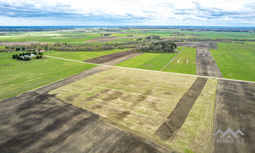 Ackerland bei Mosėdis