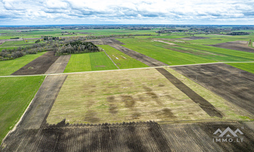 Ackerland bei Mosėdis