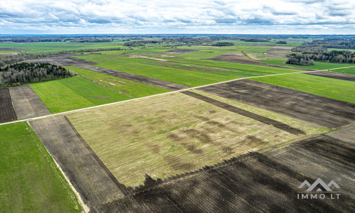 Ackerland bei Mosėdis