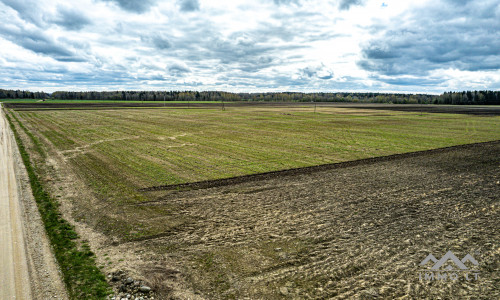 Ackerland bei Mosėdis