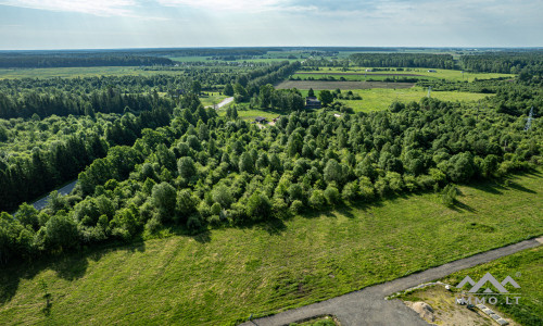 Investment Plot in Kretinga