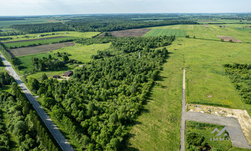 Investment Plot in Kretinga