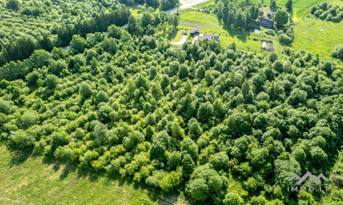 Investment Plot in Kretinga